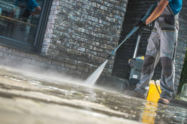 Best Roof Washing  in Red Bay, AL